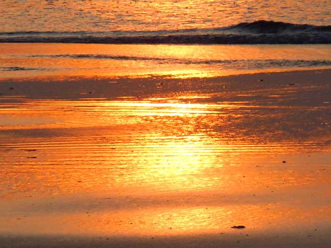 Golden Sand Close-Up