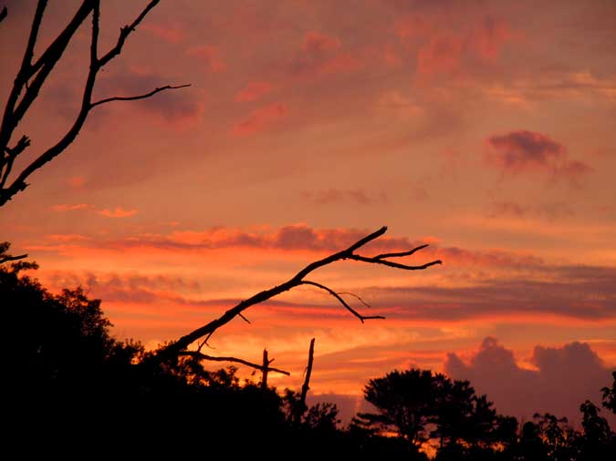 Harbinger on Water Row I