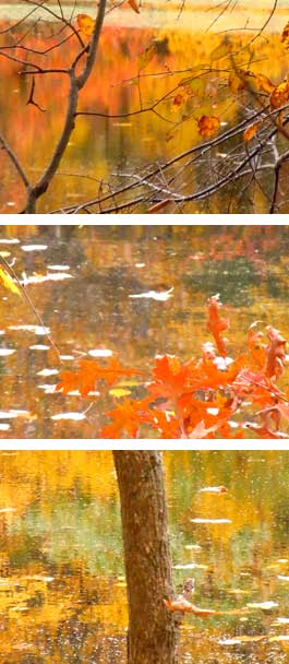 Mount Misery, Lincoln, MA