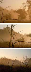 Great Meadow, Sudbury, MA