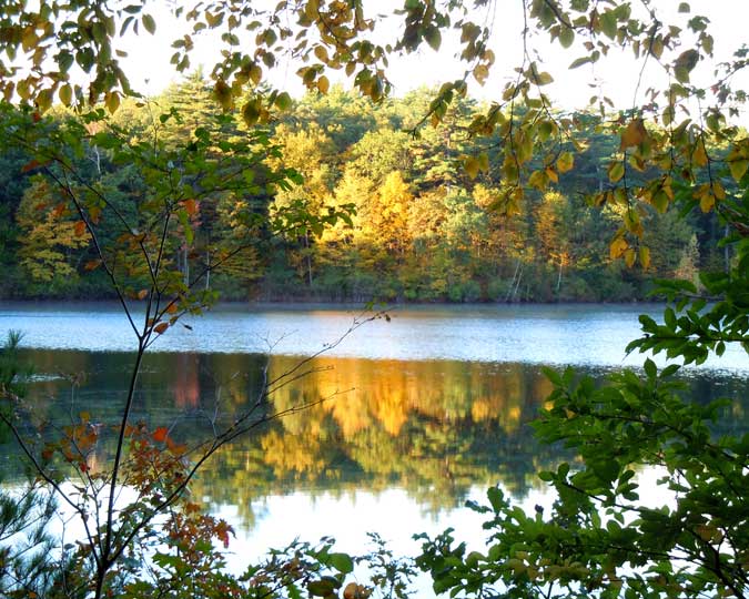 Walden Pond in Autumn I